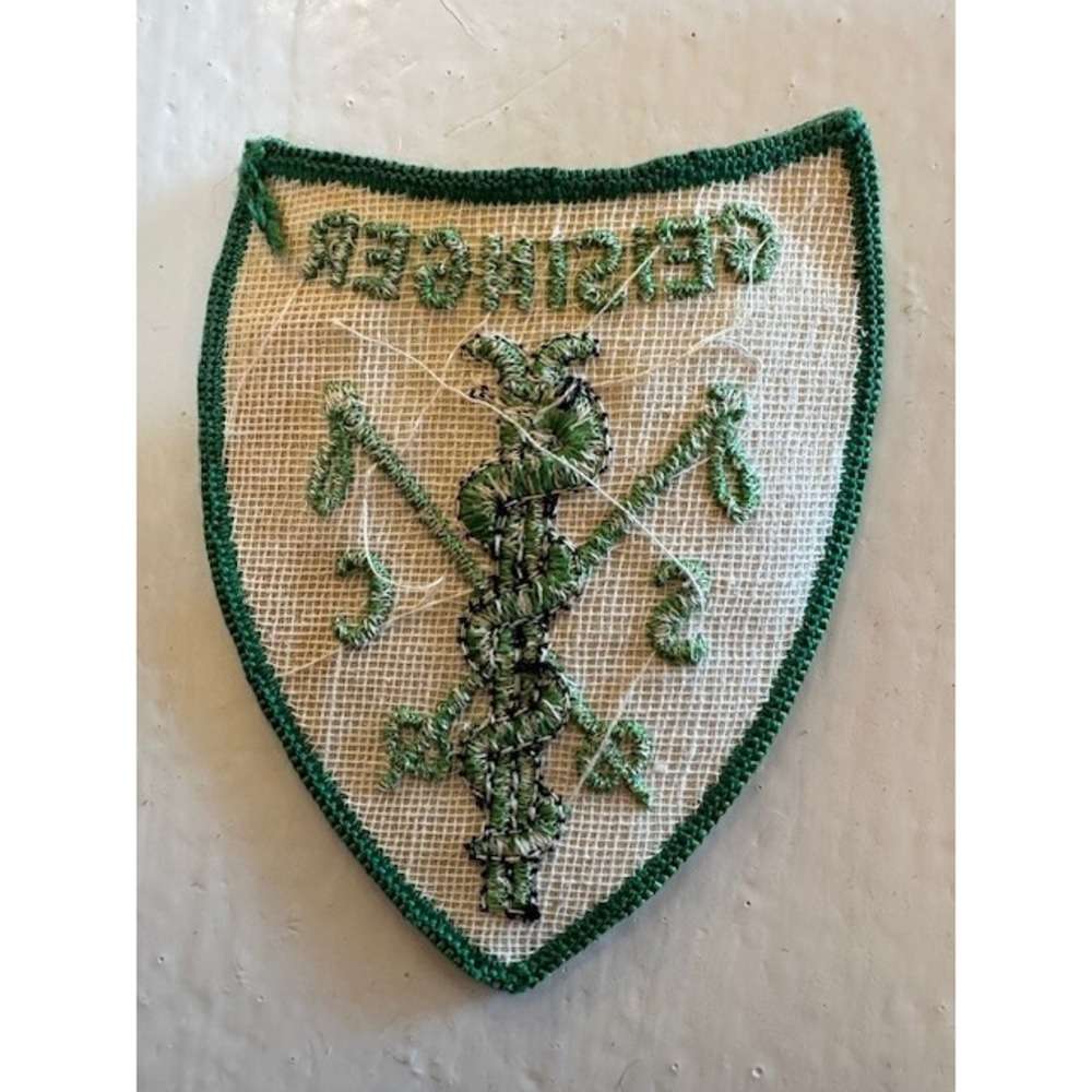 Vintage Geisinger Hospital Pennsylvania PA Medical‎ Nurse Shield Patch - Picture 2 of 4